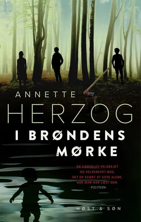 I brøndens mørke af Annette Herzog