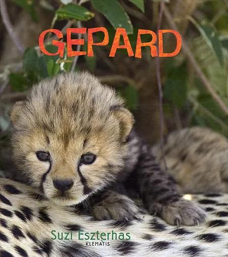 Gepard af Suzi Eszterhas