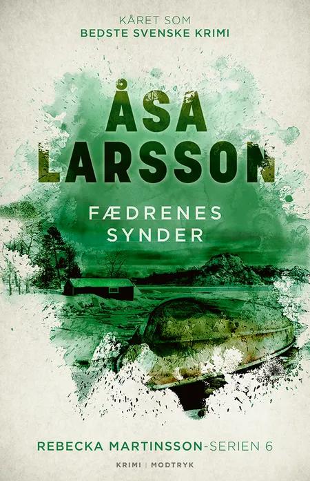 Fædrenes synder af Åsa Larsson