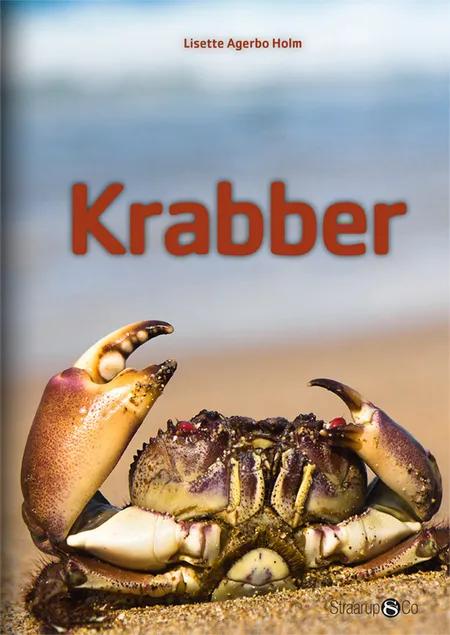 Krabber af Lisette Agerbo Holm