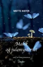 Malik og julemysteriet