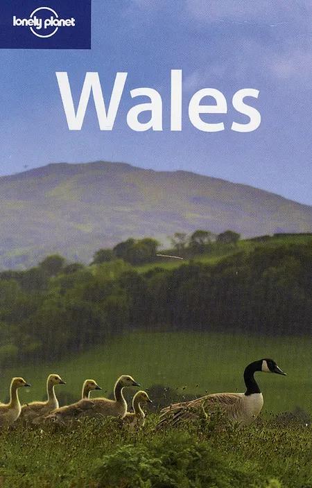 Wales af David Atkinson