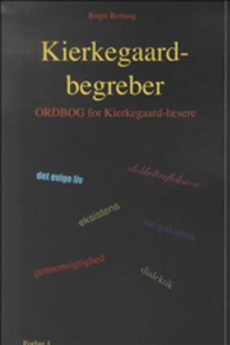Kierkegaard-begreber af Birgit Bertung