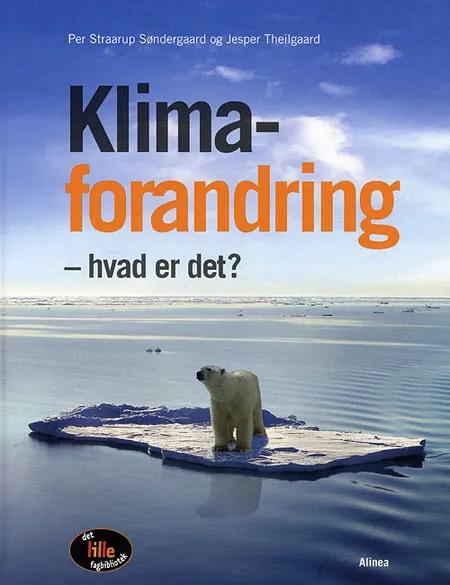 Klimaforandring - hvad er det? af Per Straarup Søndergaard