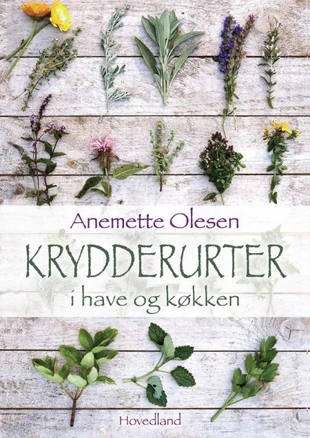 Krydderurter i have og køkken af Anemette Olesen