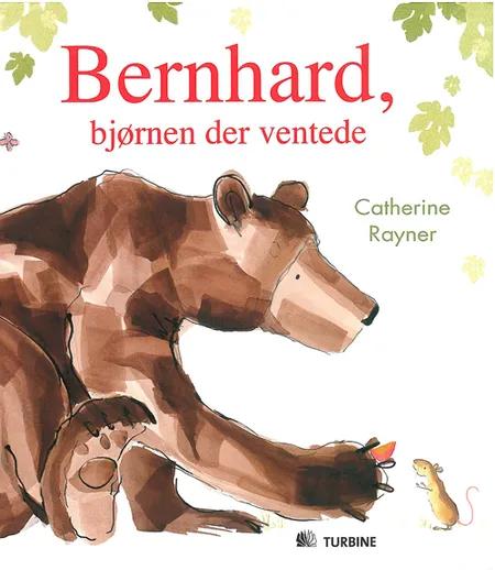 Bernhard, bjørnen der ventede af Catherine Rayner