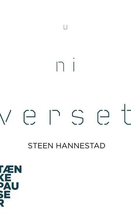 Universet af Steen Hannestad