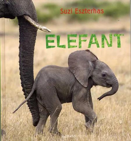Elefant af Suzi Eszterhas