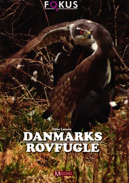 Danmarks rovfugle af Ebbe Larsen