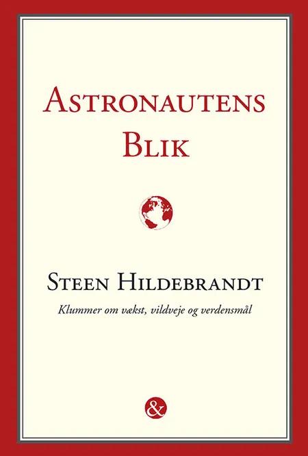 Astronautens blik af Steen Hildebrandt