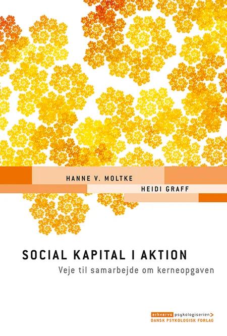 Social kapital i aktion af Hanne V. Moltke