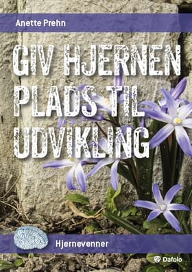 Giv hjernen plads til udvikling (Pakke med 30 stk.) af Anette Prehn