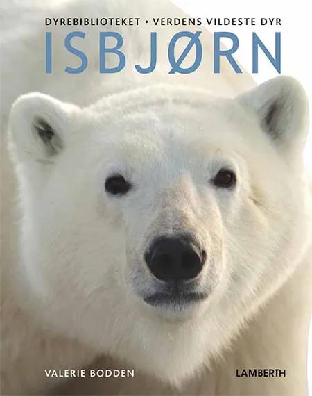 Isbjørn af Valerie Bodden