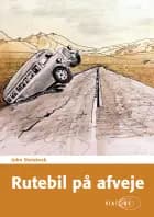 Rutebil på afveje