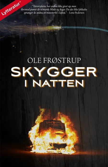 Skygger i natten af Ole Frøstrup