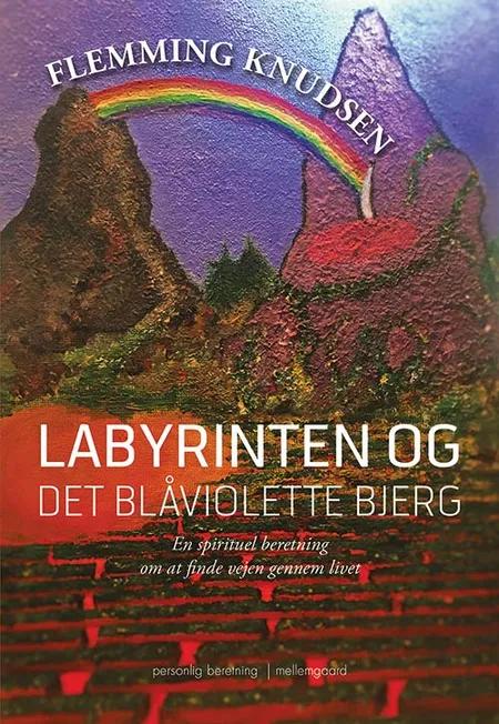 Labyrinten og det blåviolette bjerg af Flemming Knudsen