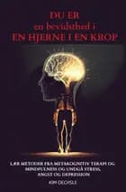 DU ER en bevidsthed i EN HJERNE I EN KROP