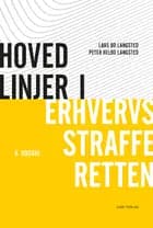 Hovedlinjer i erhvervsstrafferetten