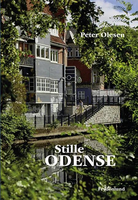 Stille Odense af Peter Olesen