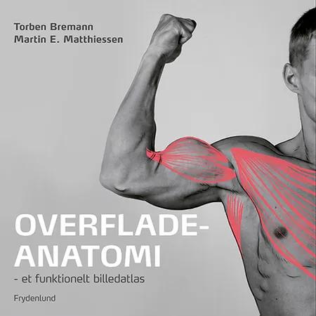 Overfladeanatomi af Torben Bremann