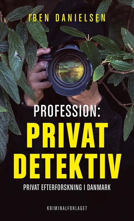 Profession: privatdetektiv af Iben Danielsen