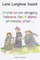 Historien om dengang heksene fandt deres prinsesse, eller...