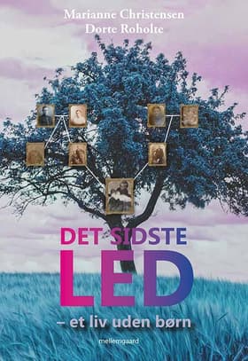 Det sidste led af Dorte Roholte