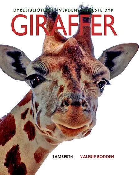 Giraffer af Valerie Bodden