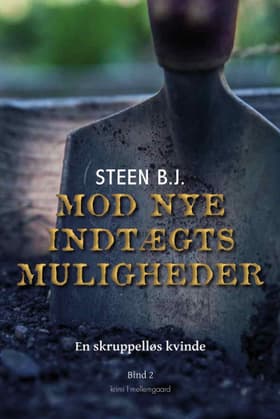 Mod nye indtægtsmuligheder af Steen B. J.