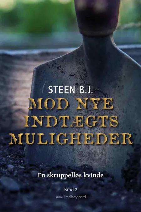 Mod nye indtægtsmuligheder af Steen B.J.