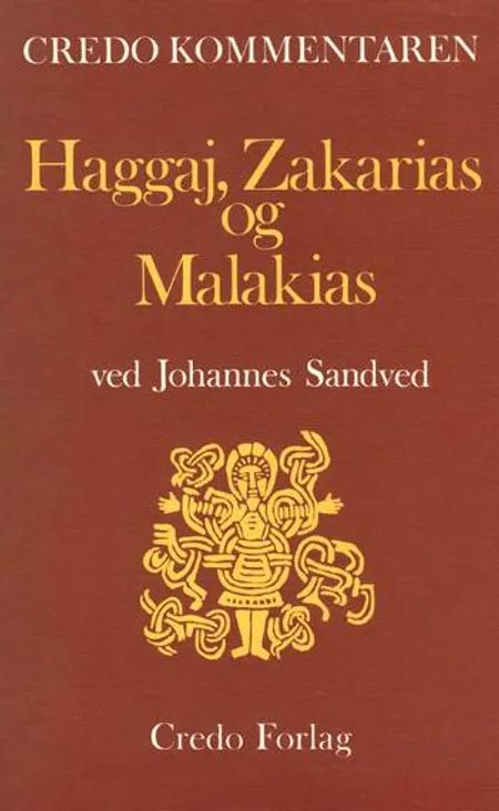 Profeterne Haggaj, Zakarias og Malakias af Johannes Sandved