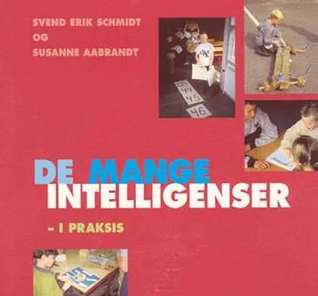 De mange intelligenser - i praksis af Svend Erik Schmidt