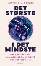 Det største i det mindste