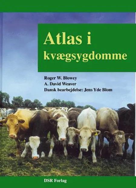 Atlas i kvægsygdomme af Roger W. Blowey