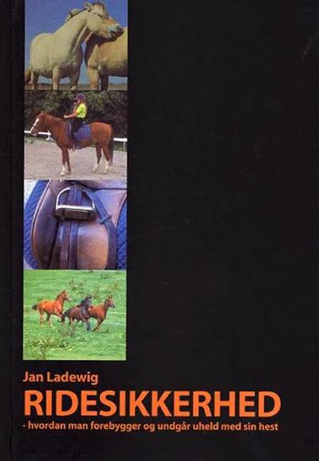 Ridesikkerhed af Jan Ladewig