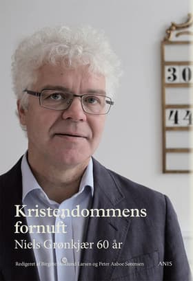 Kristendommens fornuft af Birgitte Stoklund Larsen