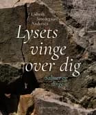 Lysets vinge over dig