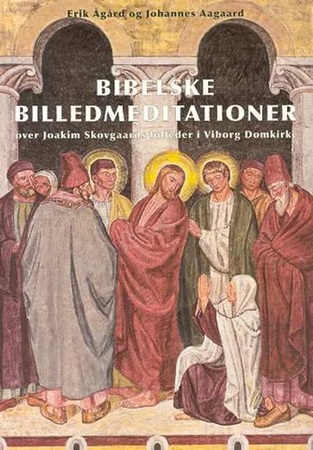 Bibelske billedmeditationer over Joakim Skovgaards billeder i Viborg Domkirke af Erik Ågård