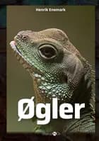 Øgler