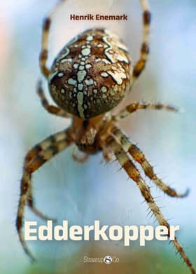 Spil & Læs - Edderkopper af Henrik Enemark