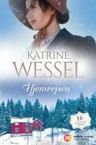 Hjemrejsen