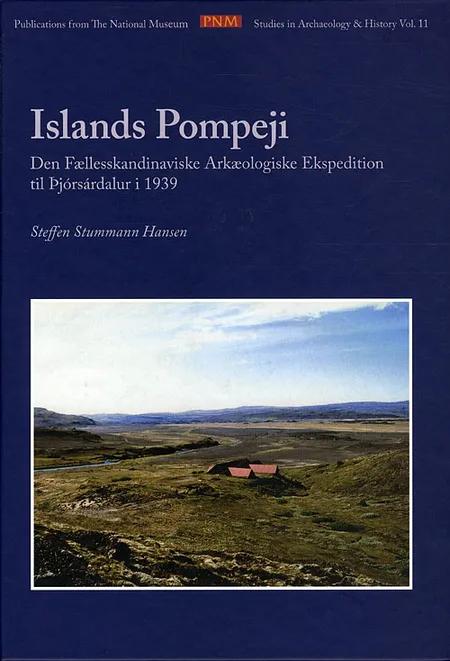 Islands Pompeji af Steffen Stummann Hansen