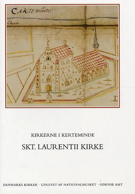 Danmarks kirker Odense Amt af Rikke Ilsted Kristiansen