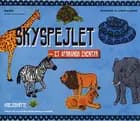 Skyspejlet