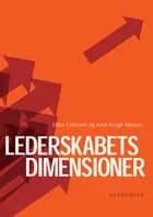 Lederskabets dimensioner