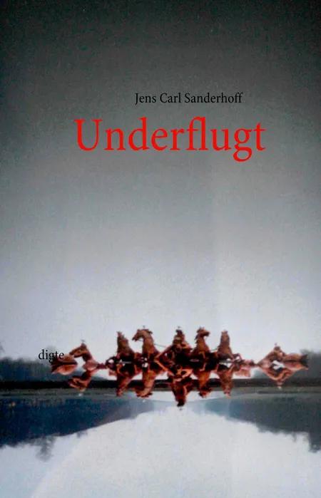 Underflugt af Jens Carl Sanderhoff