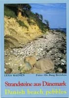 Strandsteine - Beach pebbles