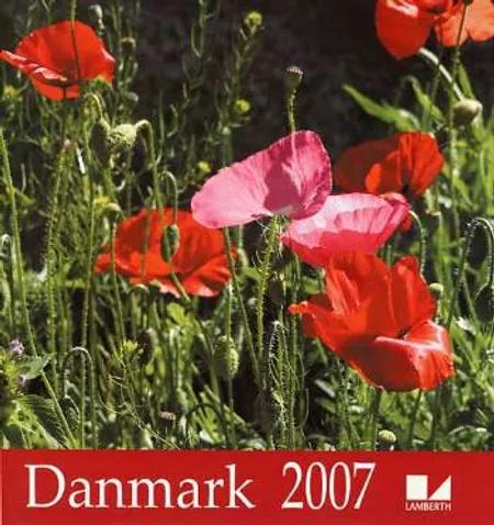 Danmark kalender 2007 
