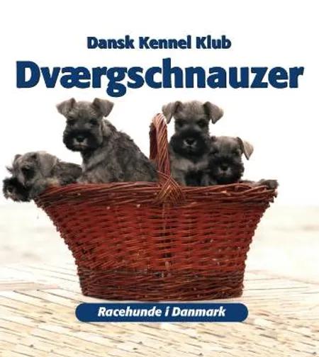 Dværgschnauzer af Dansk Kennelklub