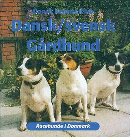 Dansk/Svensk gårdhund af medlemmer af Dansk/svensk Gårdhundeklub